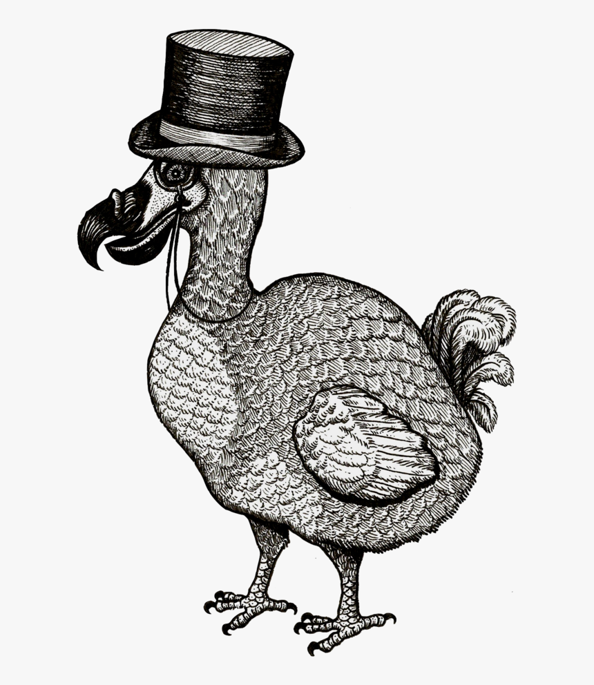 Turkey, HD Png Download, Free Download