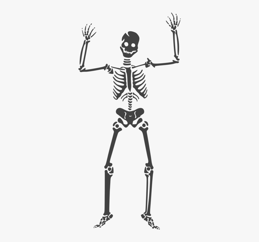 Standing,human Behavior,bone - Halloween Skeleton Png, Transparent Png, Free Download