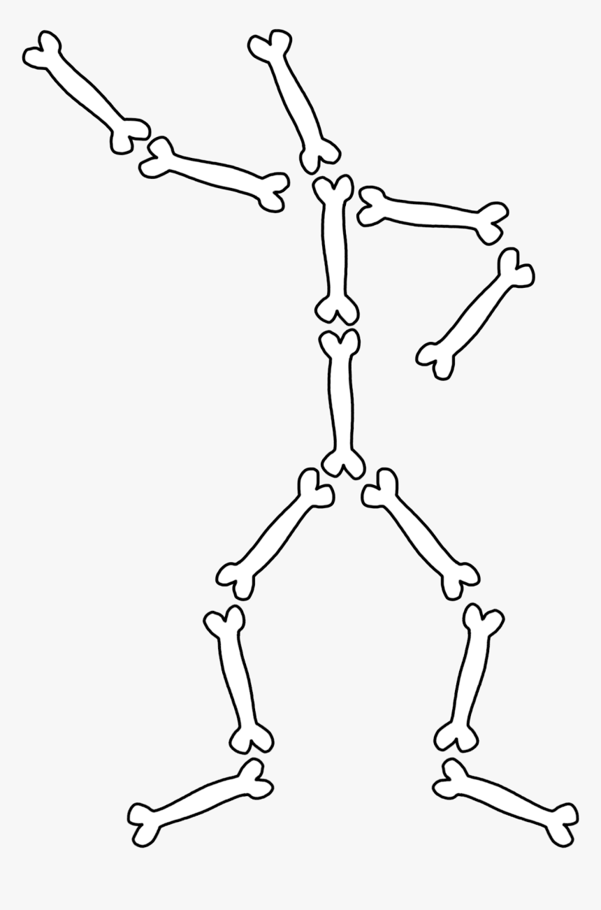 Human Body Bones Png , Png Download - Skeleton Bones To Draw, Transparent Png, Free Download