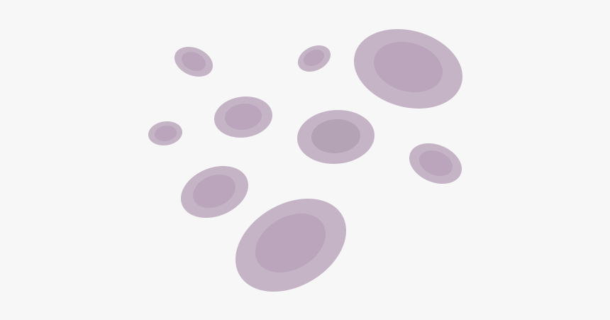 Illustration Of Red Blood Cells - Circle, HD Png Download, Free Download