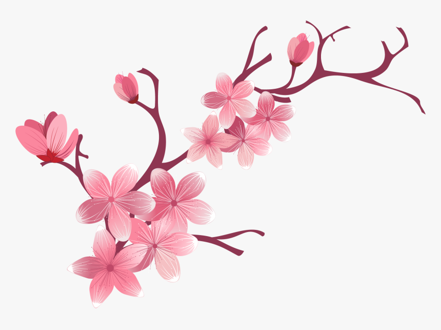 Cherry Blossom And Butterfly Png - Butterfly Png Pink Cherry Blossom, Transparent Png, Free Download