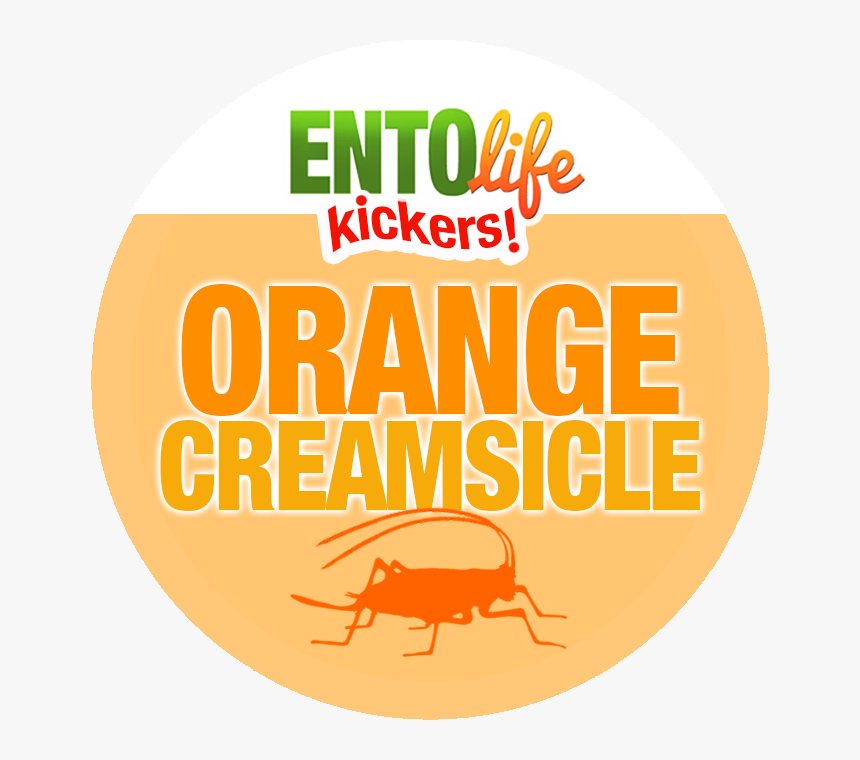 Orange Creamsicle Flavored Crickets - Longhorn Beetle, HD Png Download, Free Download