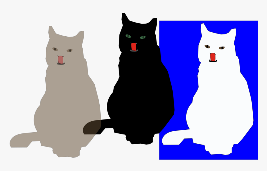 Black Cat,paw,small To Medium Sized Cats - Cat, HD Png Download, Free Download