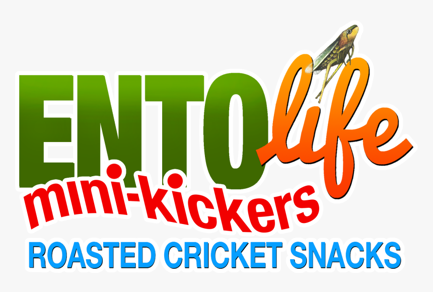 Mini-kickers Logo - Calligraphy, HD Png Download, Free Download