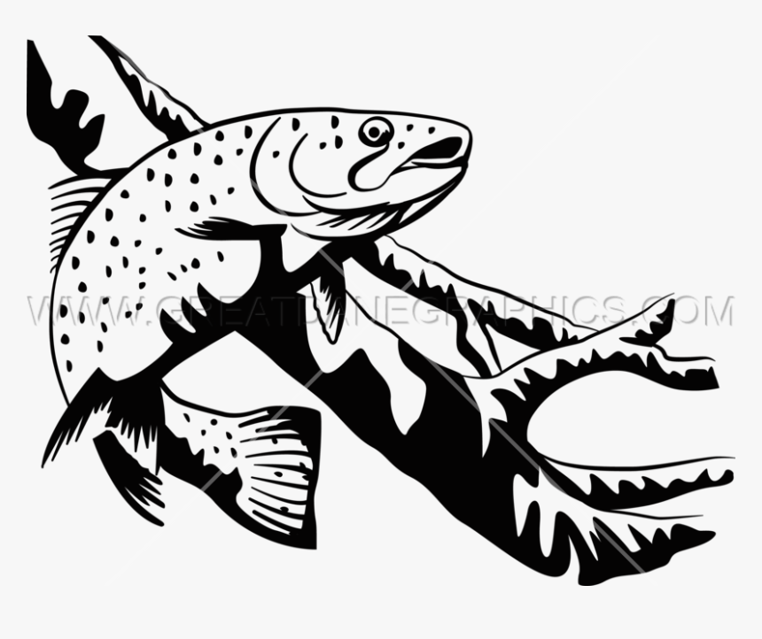 Transparent Fish Clipart Black And White - Black And White Trout Clipart, HD Png Download, Free Download