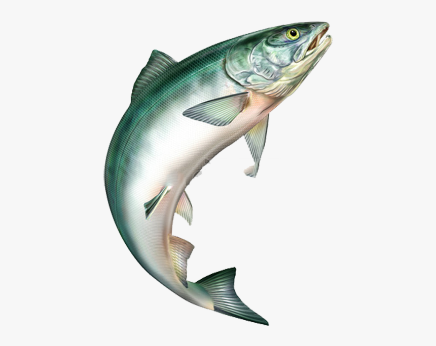 Fish Jumping Transparent Background, HD Png Download, Free Download