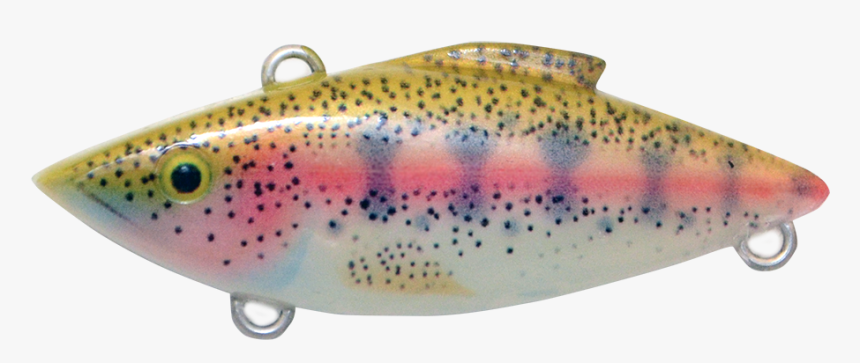 Transparent Rainbow Trout Png - Trout, Png Download, Free Download