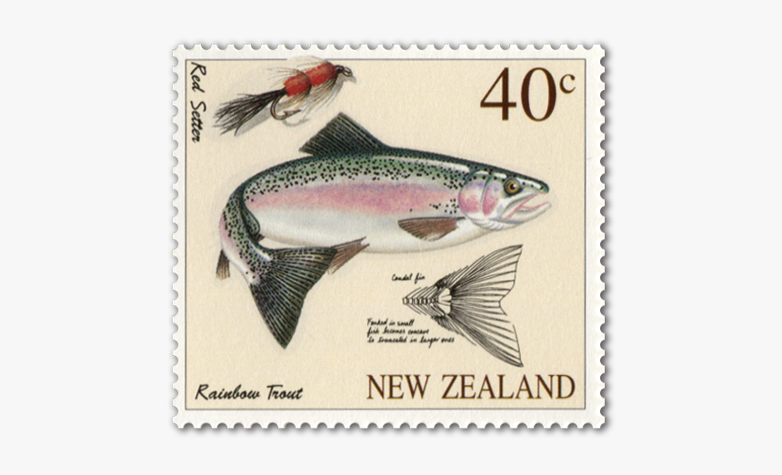 Rainbow Trout In Stamps, HD Png Download, Free Download