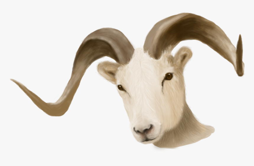 Painted Ram Head - Goat Head Transparent Background, HD Png Download, Free Download