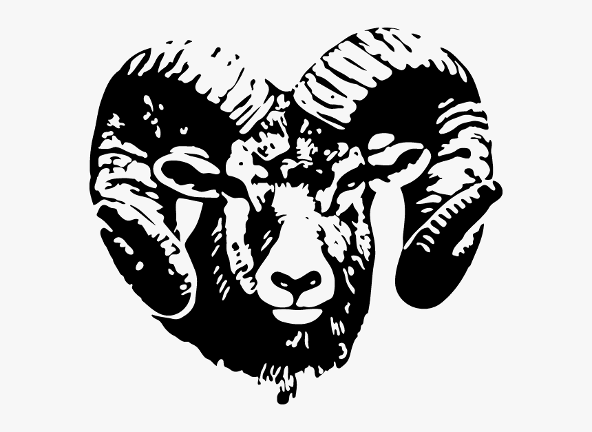 Ram Head - Rams Head Black And White, HD Png Download, Free Download