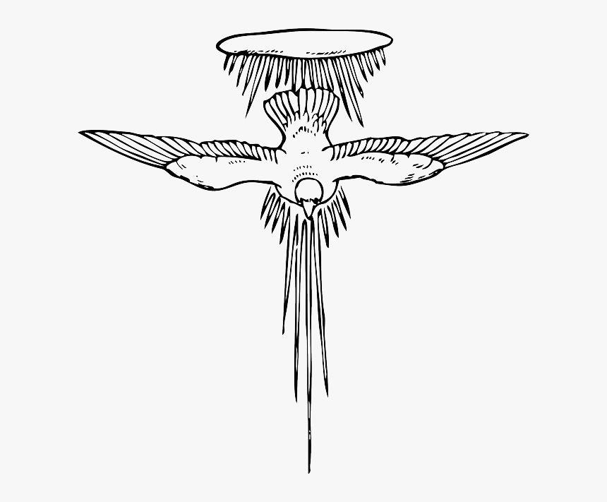 Drawing, Sky, Angel, Bird, Dove, Flying, Wings - Holy Spirit Line Art, HD Png Download, Free Download