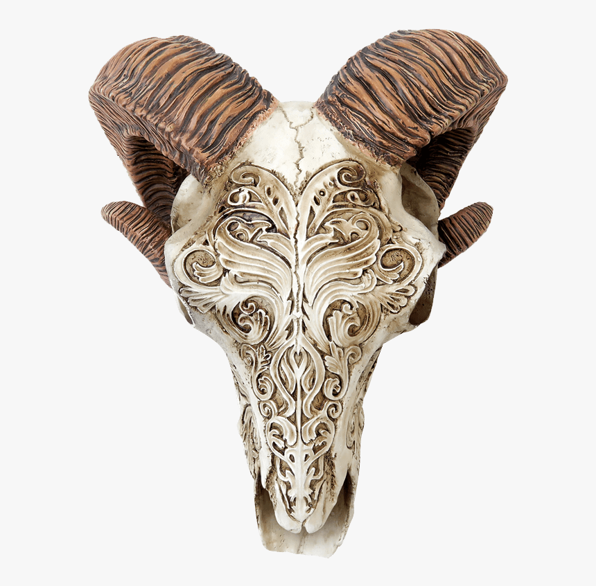 Scrimshaw Ram Skull - Scrimshaw Skull, HD Png Download, Free Download