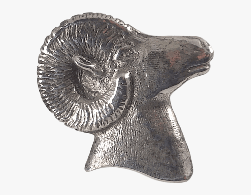 Silver Ram"s Head Accent For Belt - Conch, HD Png Download, Free Download