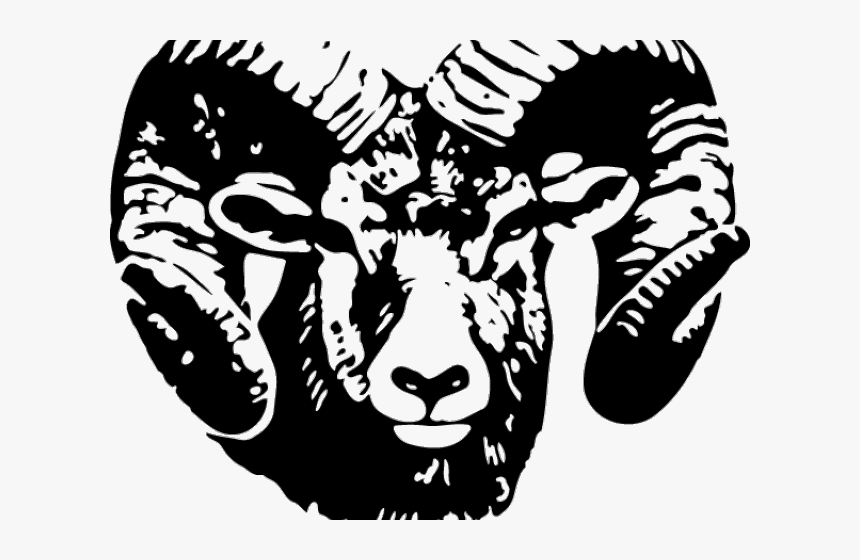 Ram Head - Ram's Head Png, Transparent Png, Free Download