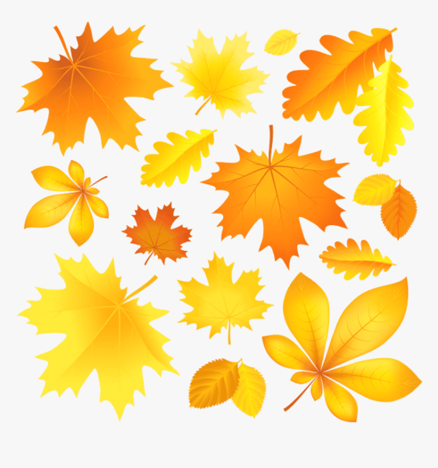 Download Transparent Fall Leaves Picture Clipart Png - Cartoon Images Of Autumn Leaves, Png Download, Free Download