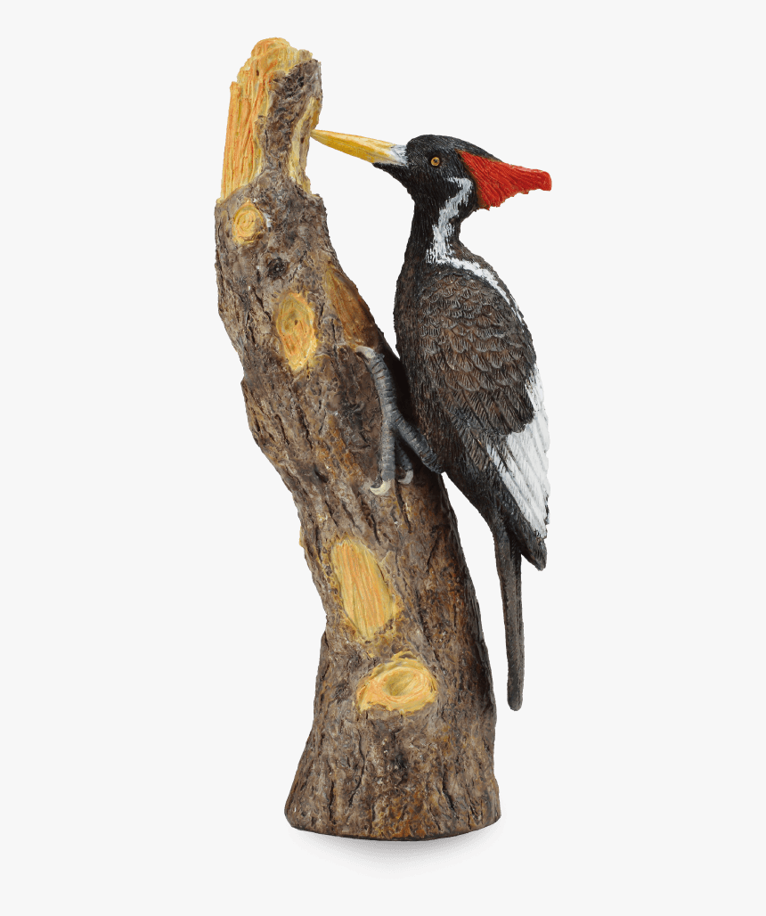 Pileated-woodpecker - Ivory Billed Woodpecker Toy, HD Png Download, Free Download