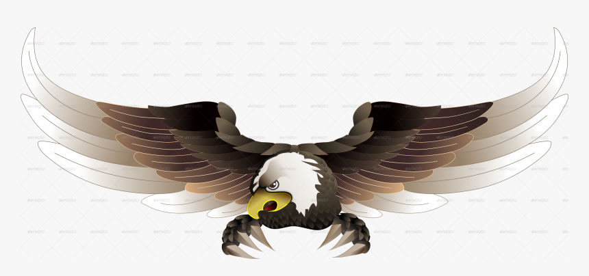 Bald Eagle, HD Png Download, Free Download