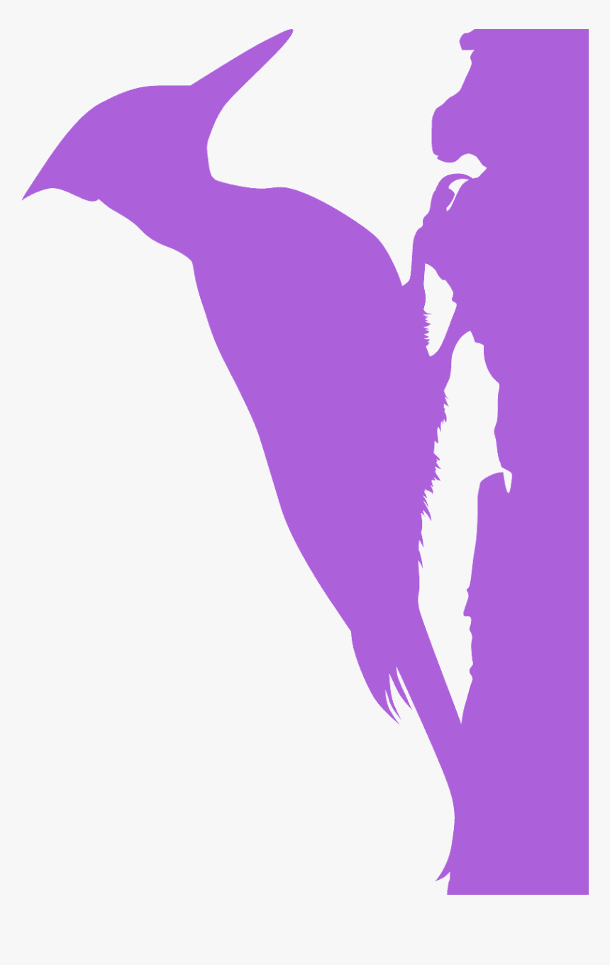 Woodpecker Png, Transparent Png, Free Download