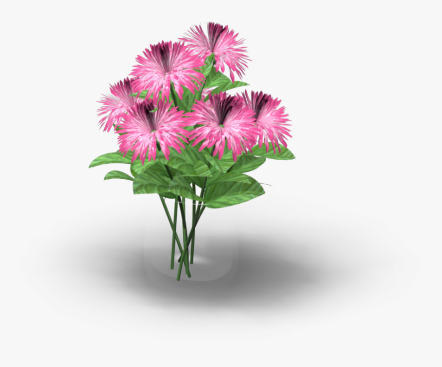 Vase With Flowers - Dianthus, HD Png Download, Free Download