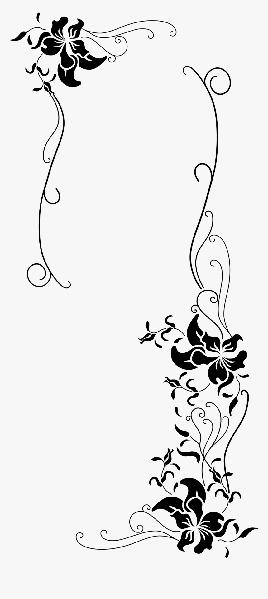 - Black And White Floral Borders , Png Download - Clip Art, Transparent Png, Free Download