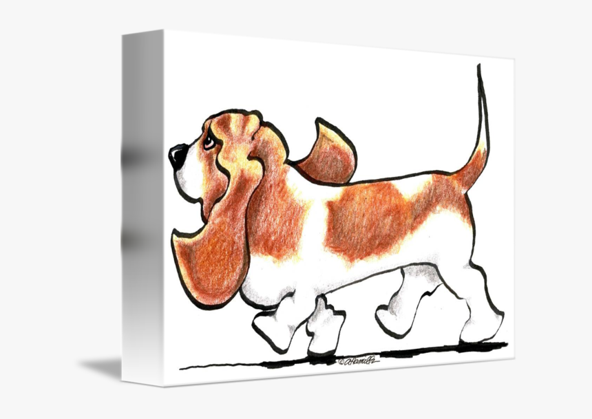 Busy Basset Hound By Off Leash - Basset Hound, HD Png Download, Free Download