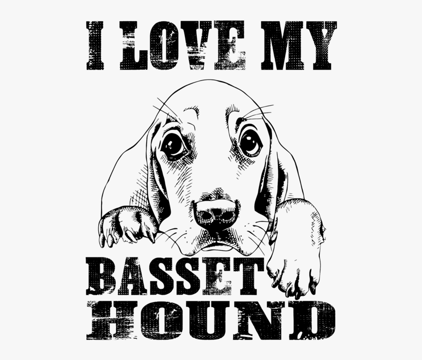 Basset Hound, HD Png Download, Free Download
