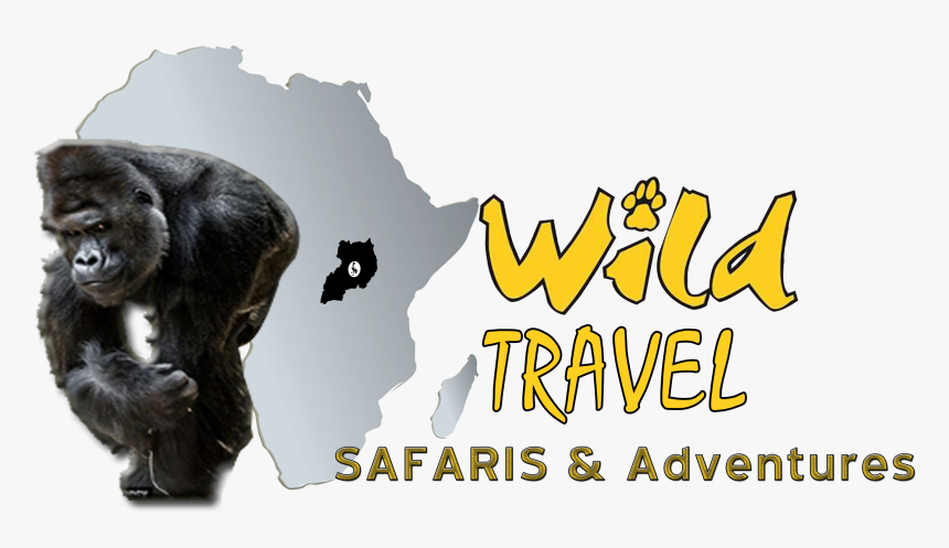 Wild Travel Safaris & Adventure - Tours And Travel Company Profile, HD Png Download, Free Download