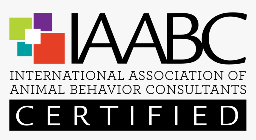 Iaabc Newlogo Webcert - Iaabc Logo, HD Png Download, Free Download