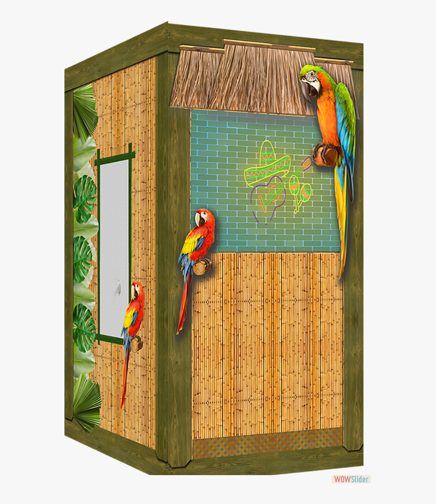 5 Oclock Somewhere - Macaw, HD Png Download, Free Download