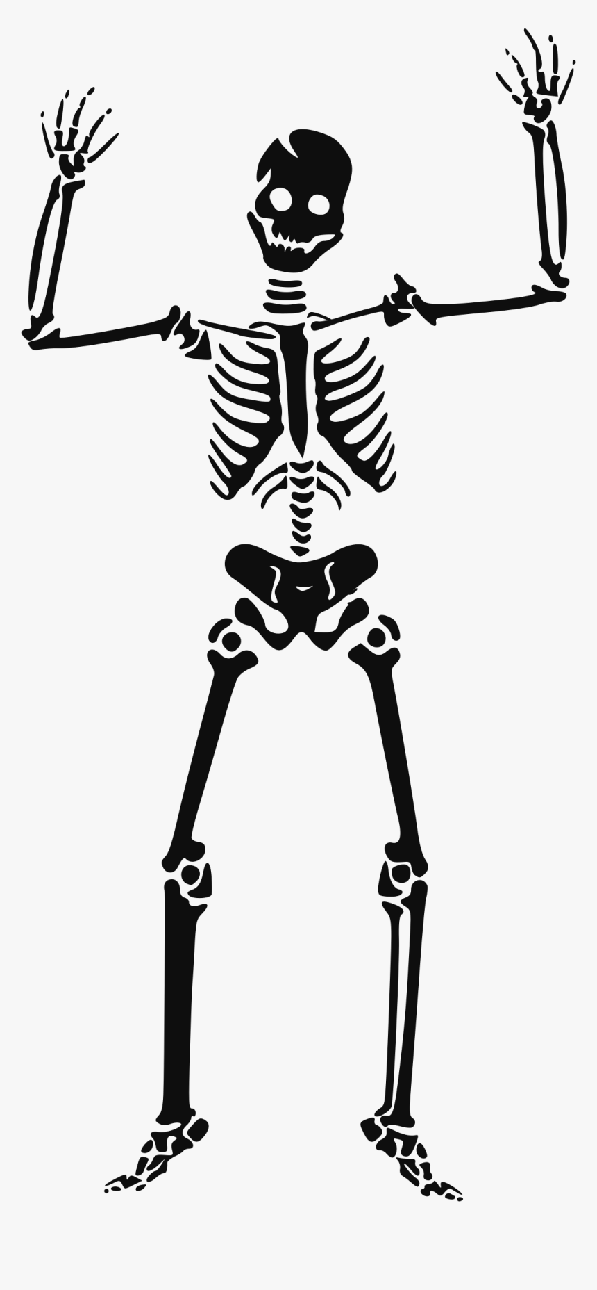 Transparent Skeletal System Png - Halloween Skeleton Clipart, Png Download, Free Download
