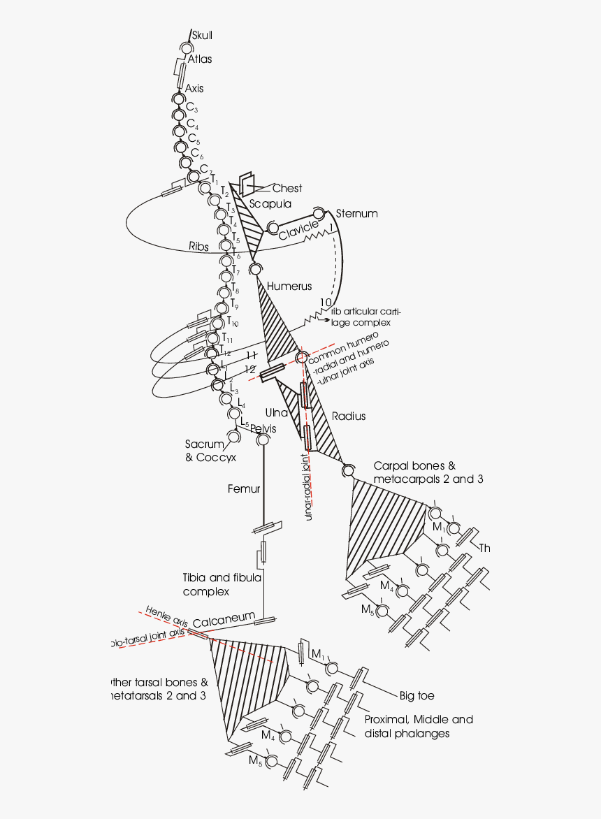 Diagram, HD Png Download, Free Download