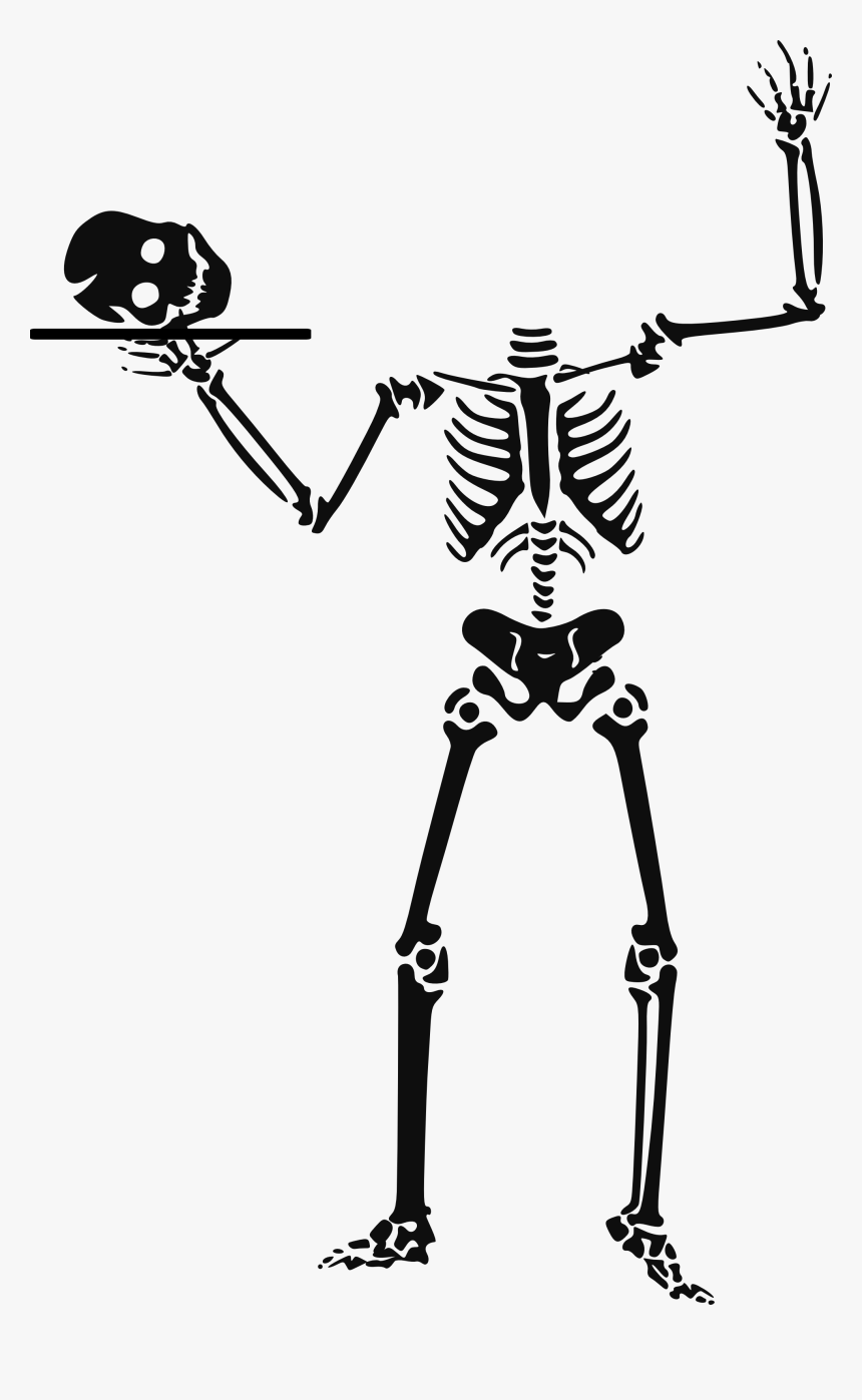 Human Clip Art - Halloween Skeleton Clipart, HD Png Download, Free Download