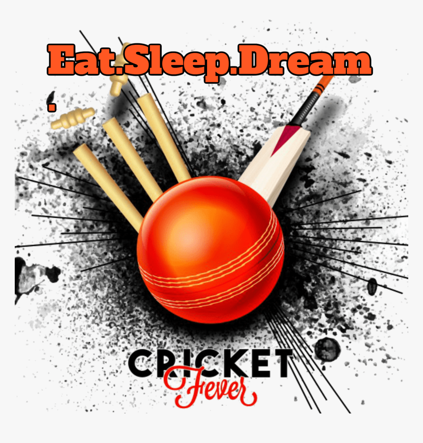 Anna › Cricket Lovers - Cricket Photo For Dp, HD Png Download, Free Download