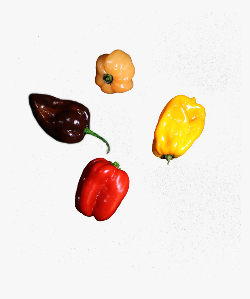 De Habanero Peper Is Een Stevige Peper In De Mooie - Yellow Pepper, HD Png Download, Free Download