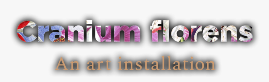 Esr Cranium Florens - Graphics, HD Png Download, Free Download