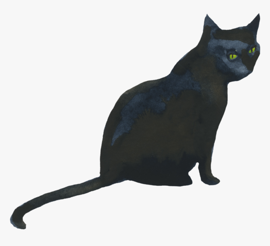 Black Cat, HD Png Download, Free Download