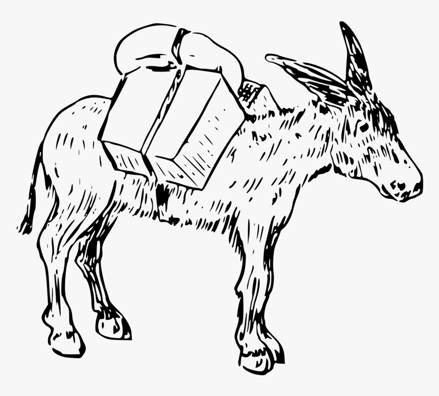 Burro Png, Transparent Png, Free Download