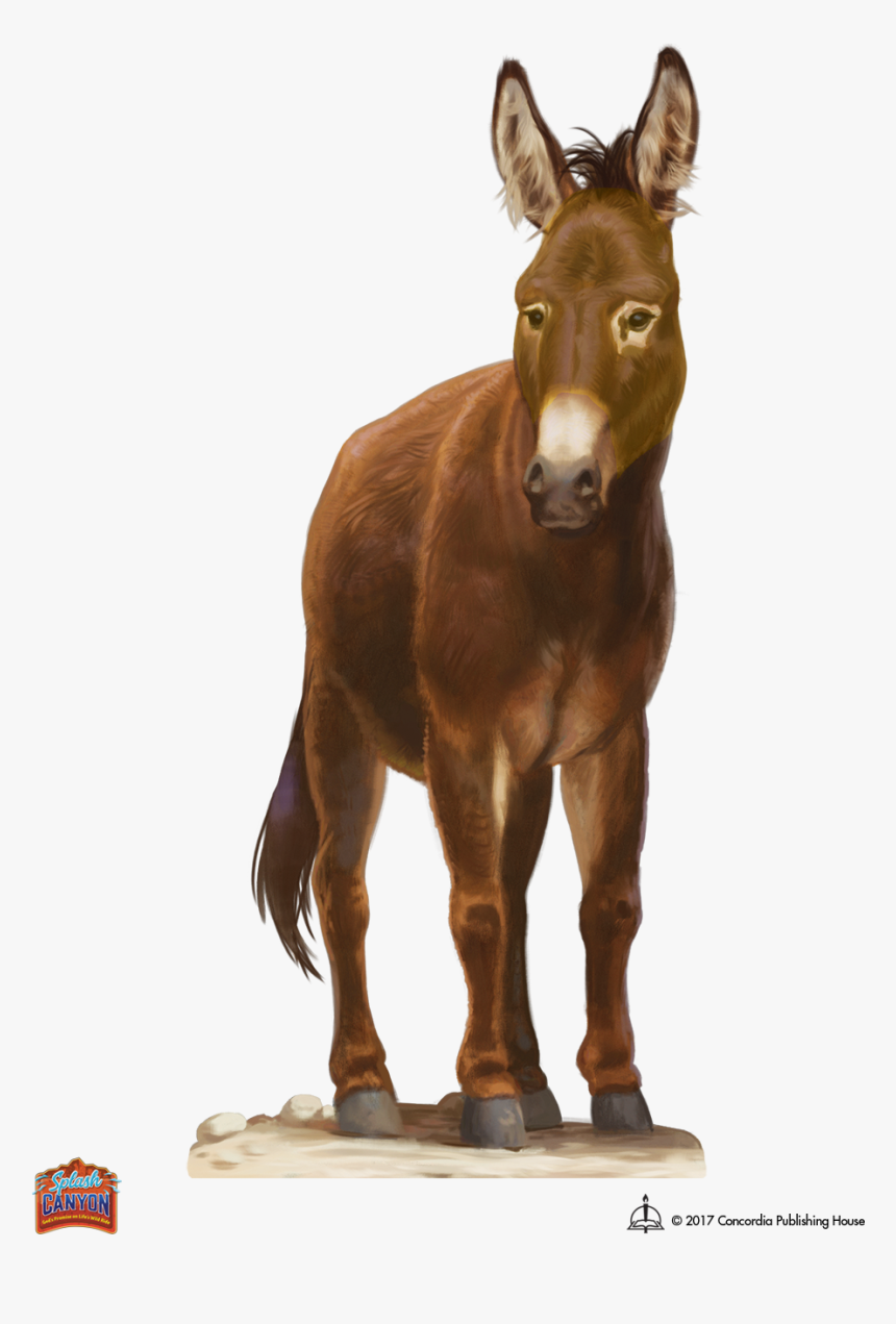 Transparent Foal Png - Burro, Png Download, Free Download