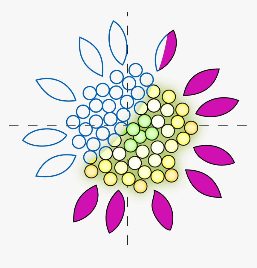 L System Flower Logo - Flower, HD Png Download, Free Download