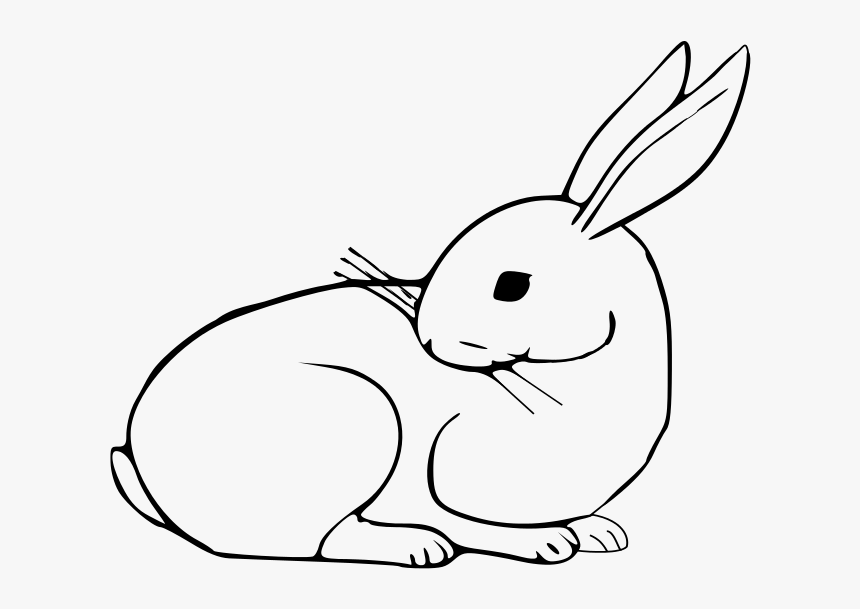 Easter Rabbit - Rabbits In Cartoon Black And White, HD Png Download, Free Download