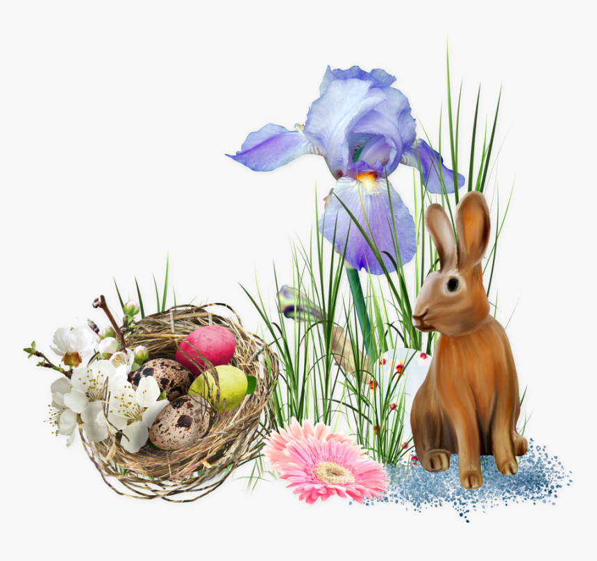 Tube Pâques, Lapin, Nid, Cluster Png - Iris, Transparent Png, Free Download