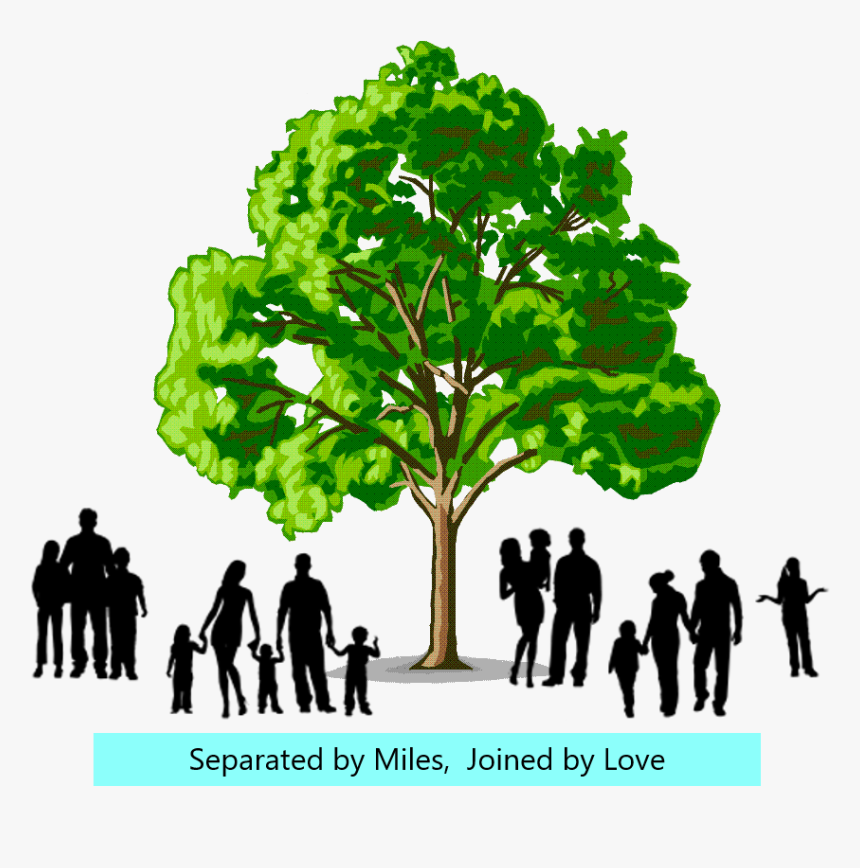 Family Tree Transparent Background, HD Png Download, Free Download
