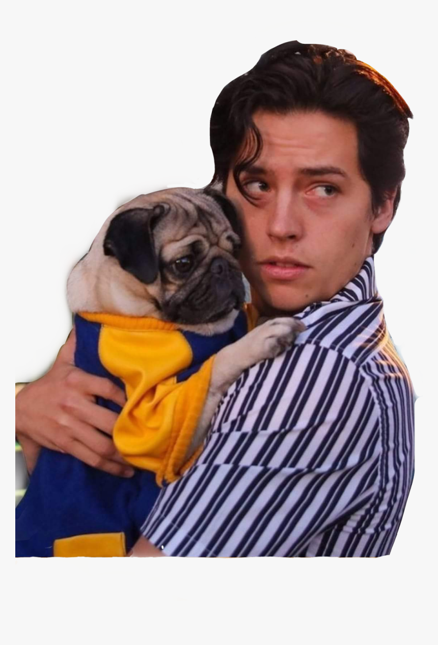 Transparent Cole Sprouse Png - Cole Sprouse, Png Download, Free Download