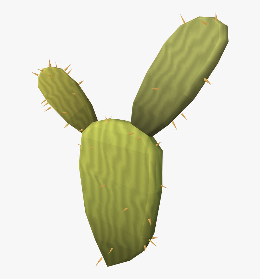 The Runescape Wiki - Osrs Cactus Water, HD Png Download, Free Download