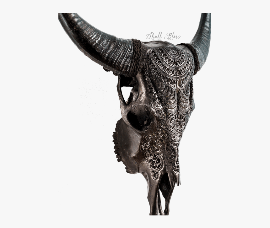 Skull Variant Skull Only - Black Carved Cow Skull, HD Png Download, Free Download