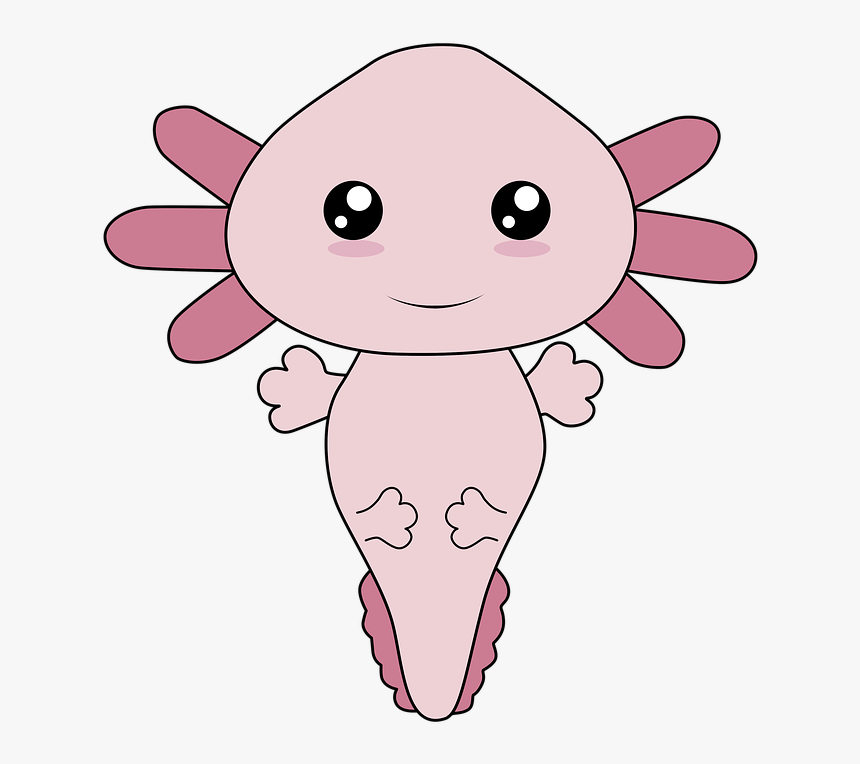 Axolotl Kawaii, Mexican Axolotl, Drawing Of Axolotl - Mexicano Dibujo Ajolote Animado, HD Png Download, Free Download