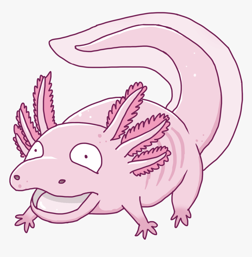 Axolotl Pokemon, HD Png Download, Free Download