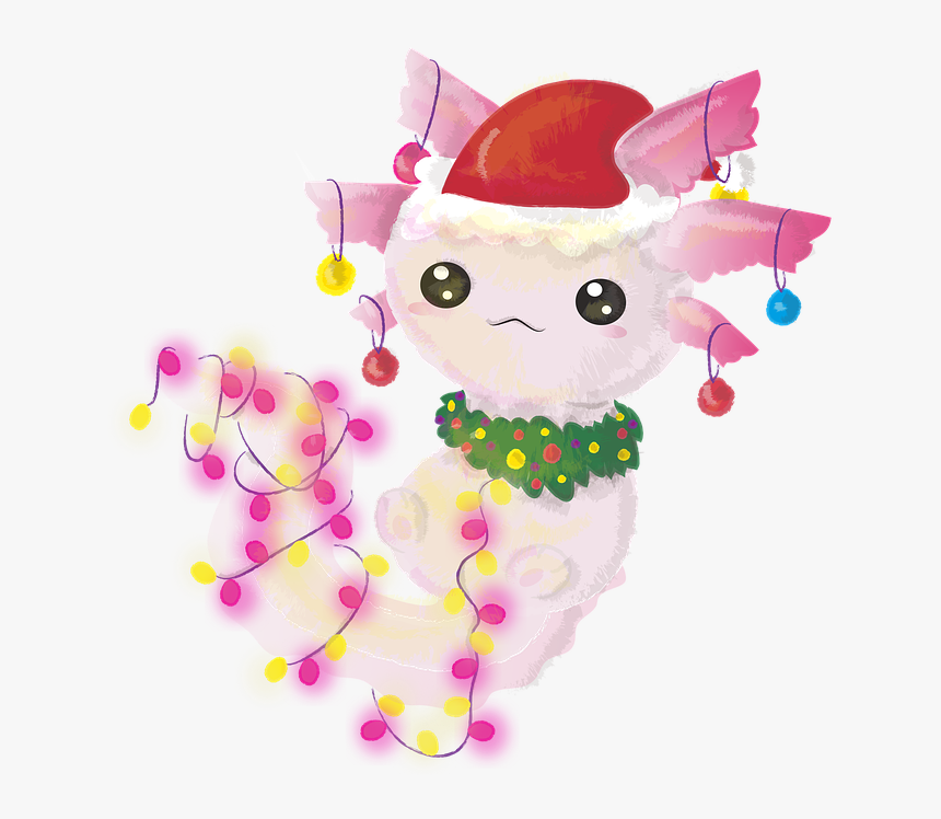 Axolotl, Axolotl Christmas, Christmas, Christmas Motif - Cartoon, HD Png Download, Free Download