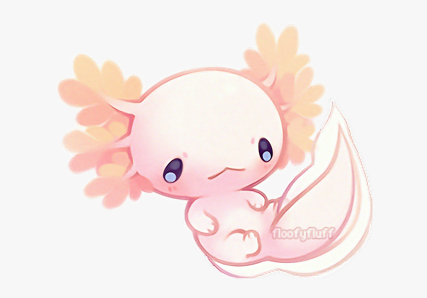 Axolotl Axolote Cute Kawaii Iwantaaxolotl Help - Axolotl Transparent, HD Png Download, Free Download