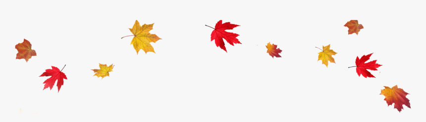Fall Border Transparent Leaves Mart Clip Art Png - Transparent Clipart Autumn Leaves, Png Download, Free Download